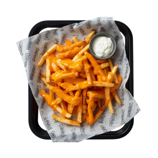 Cheese Fries with Ranch