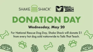 Shake Shack Rescue Dog Day